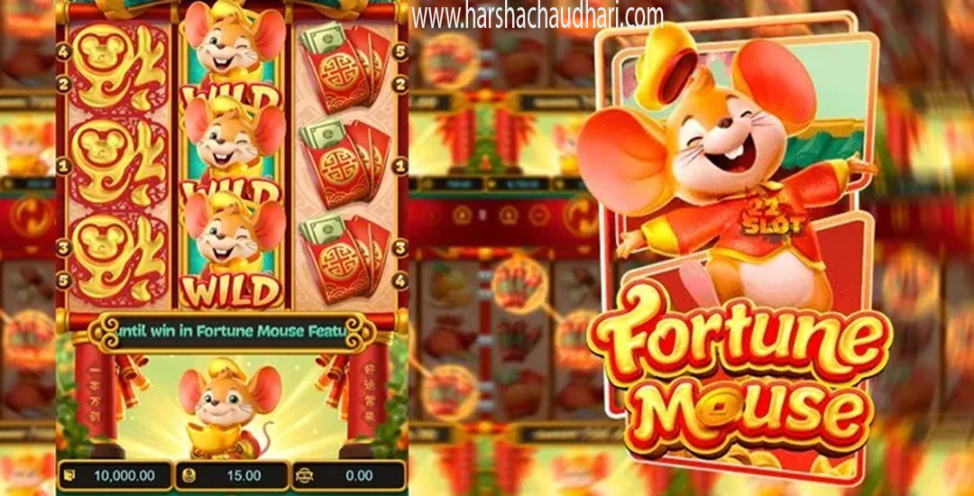 Bocoran Jam Hoki Main Fortune Mouse Peluang Emas Dollartoto