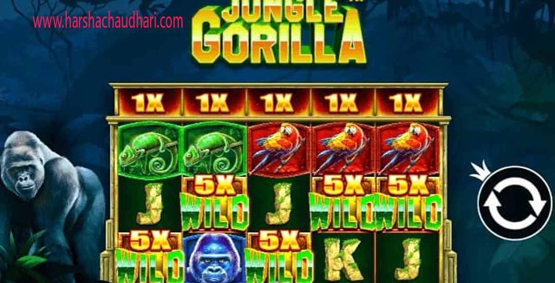 Jungle Gorilla Gacor 2025: Rahasia Menang Jackpot di Dollartoto