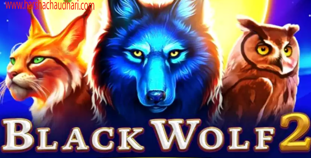 Black Wolf 2 Rahasia Menang